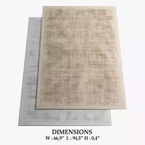 ALLMODERN Rugs 281