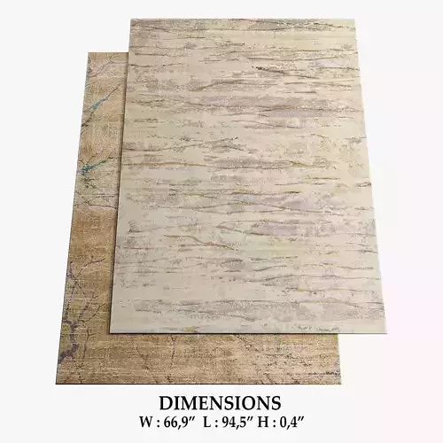ALLMODERN Rugs 289 3D model