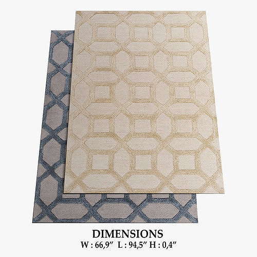 ALLMODERN Rugs 290 3D model