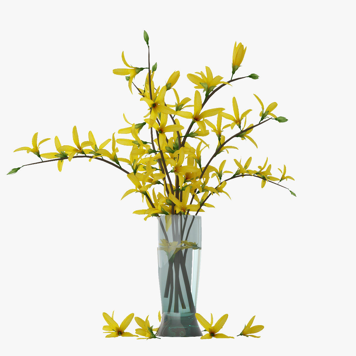 Forsythia 3D model_4