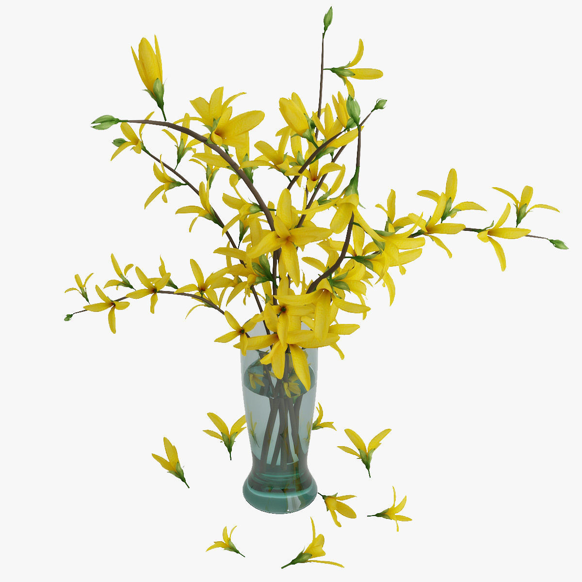 Forsythia 3D model_7