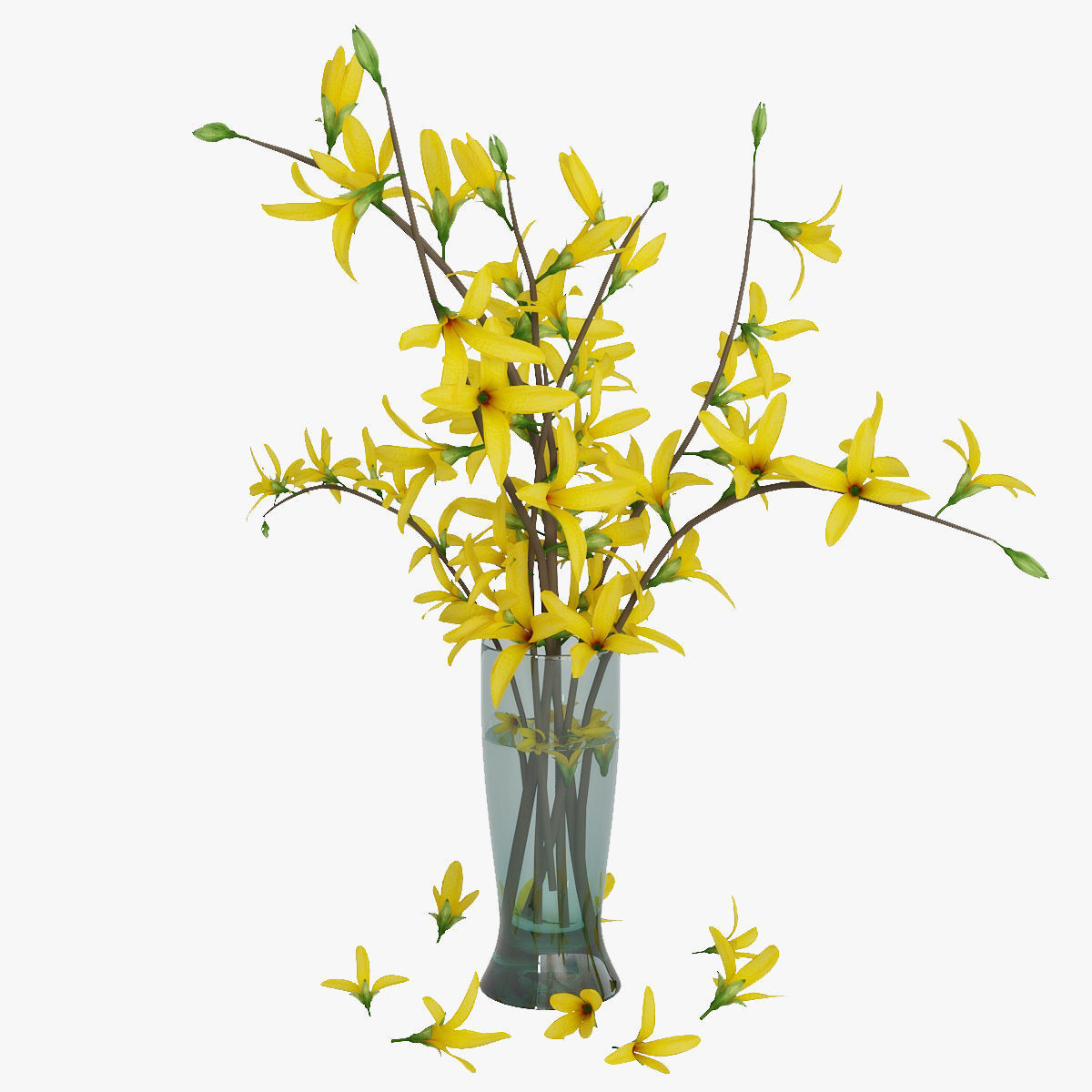 Forsythia 3D model_8