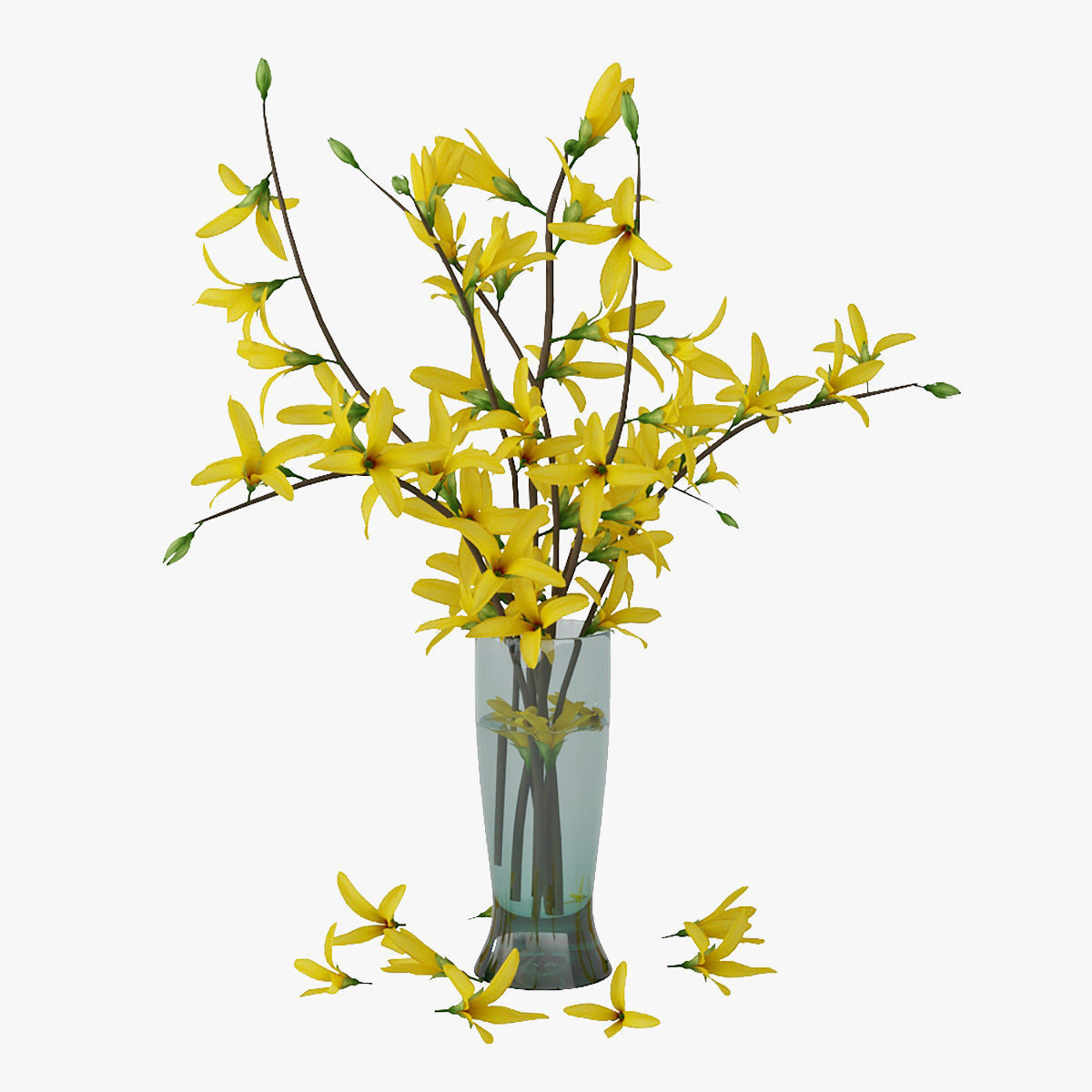 Forsythia 3D model_0