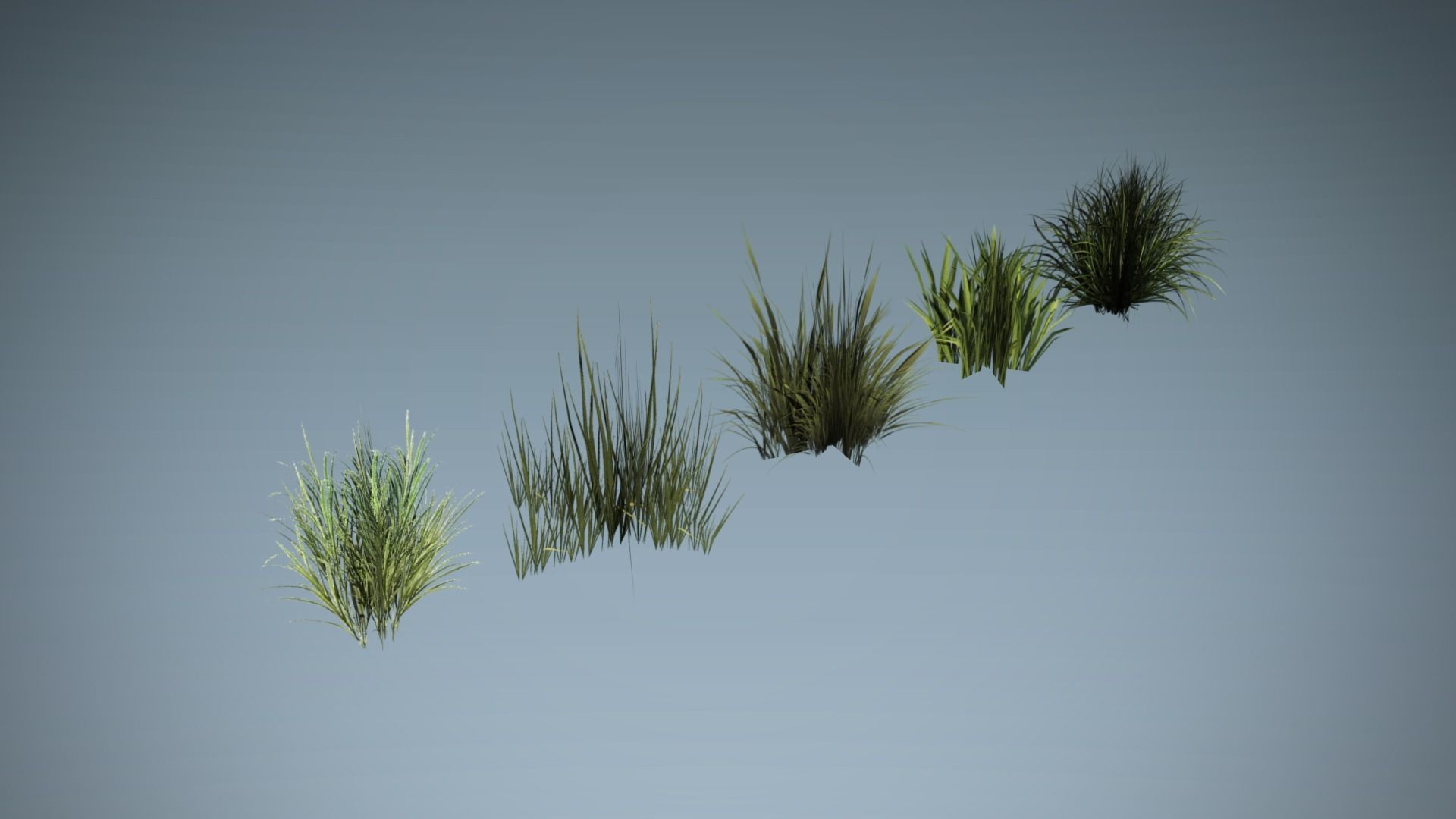 Kit of grass pack Low-poly 3D model_7