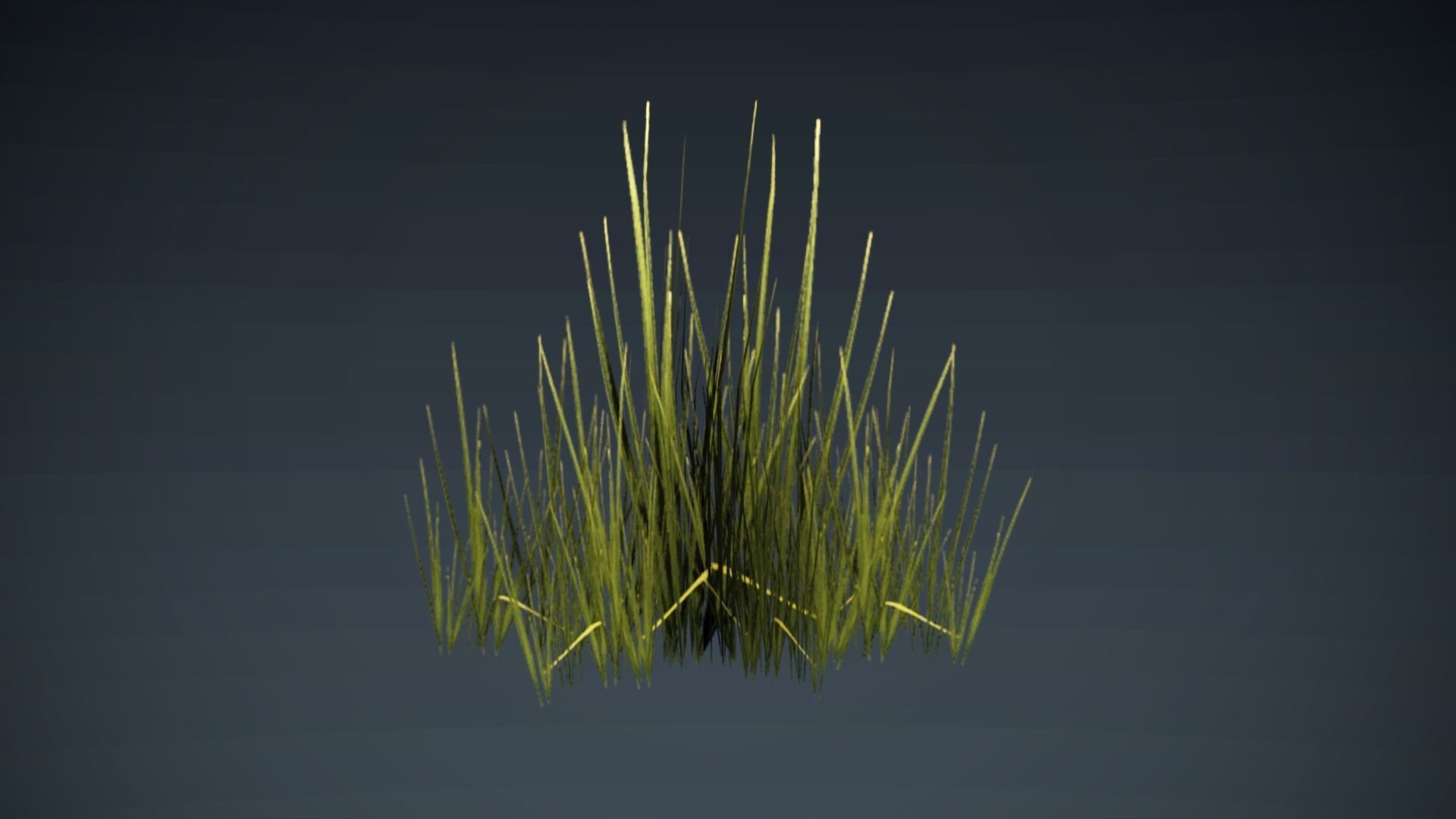 Kit of grass pack Low-poly 3D model_4