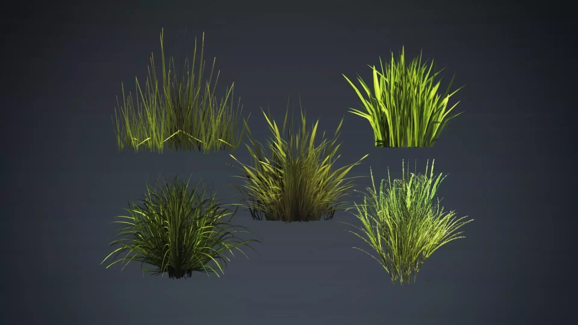 Kit of grass pack Low-poly 3D model_0