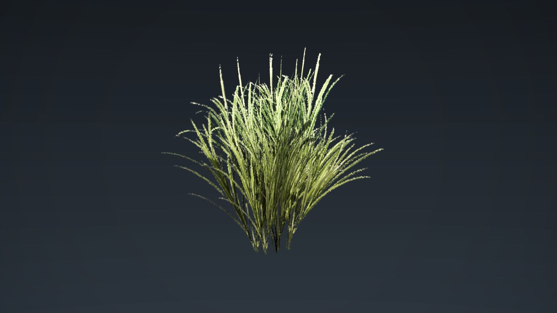 Kit of grass pack Low-poly 3D model_5