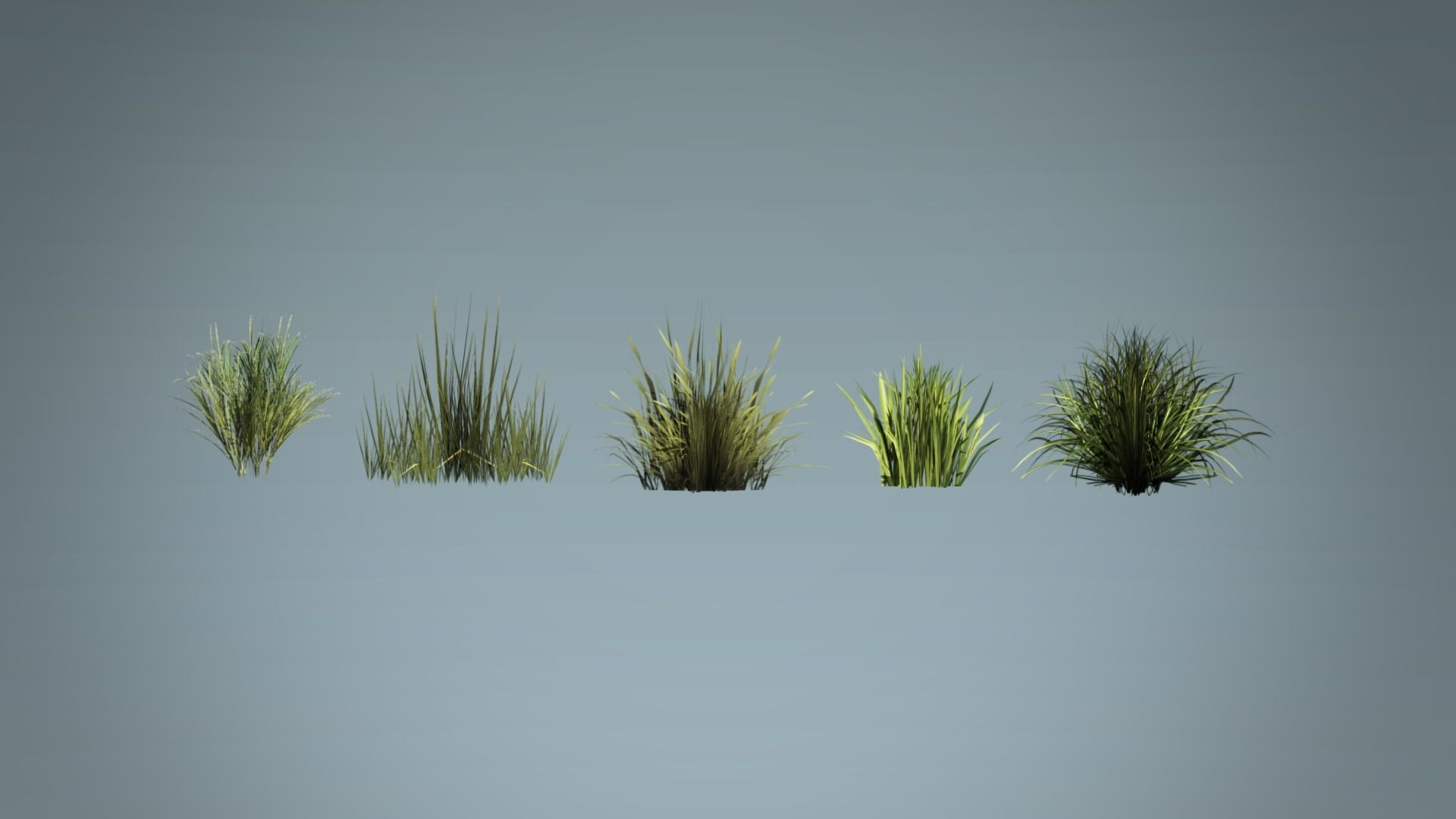 Kit of grass pack Low-poly 3D model_6