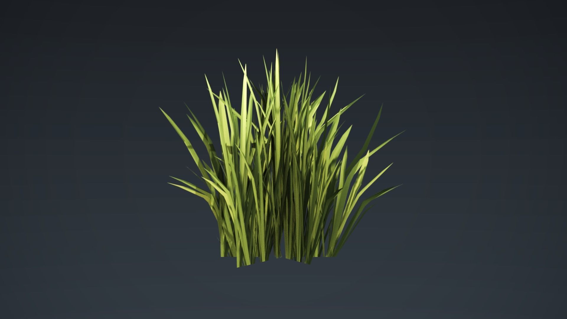 Kit of grass pack Low-poly 3D model_2