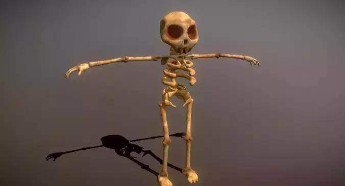 Cartoon Skeleton