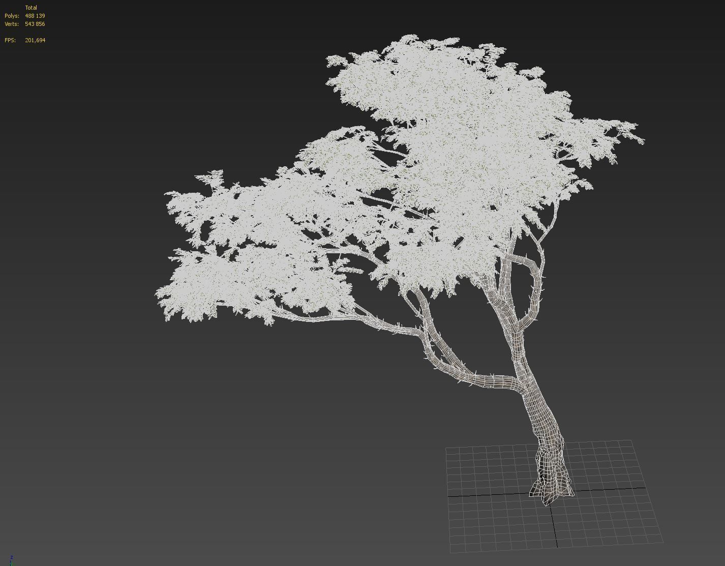 Acacia tree set 3D model_54