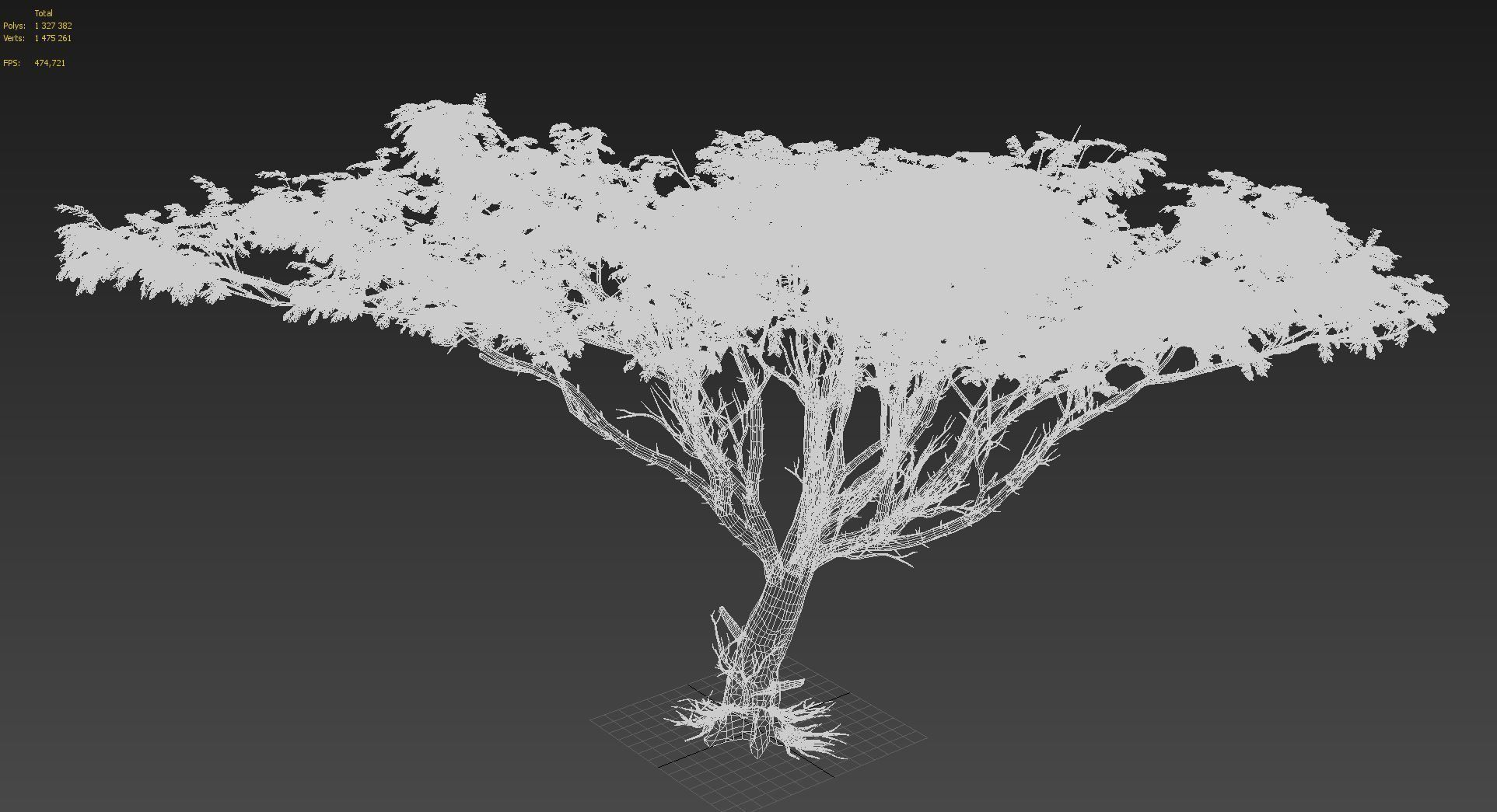 Acacia tree set 3D model_22