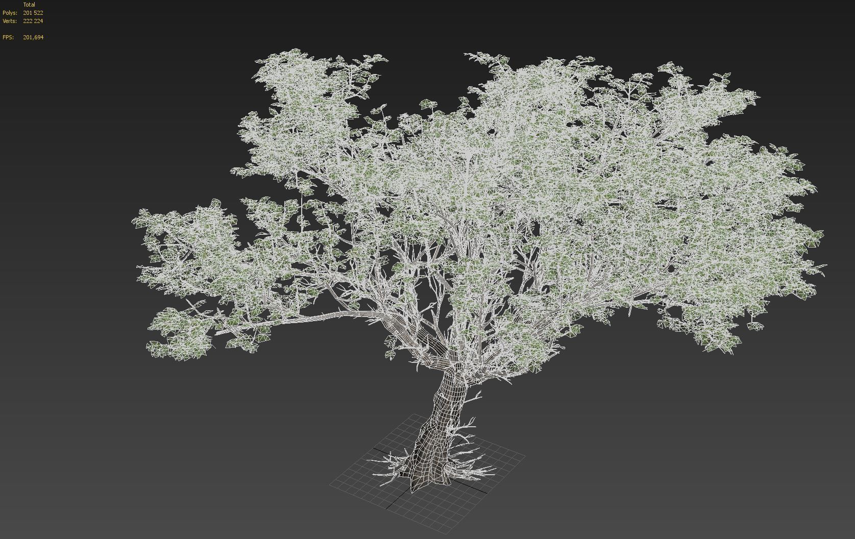 Acacia tree set 3D model_65