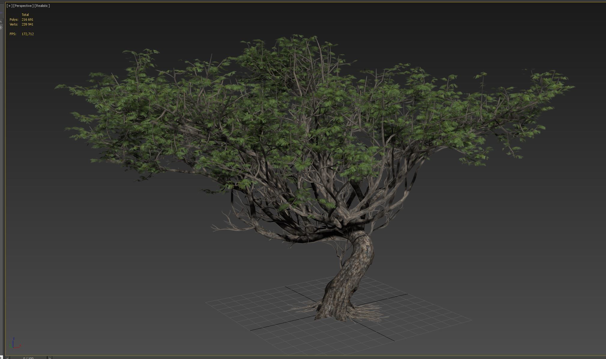 Acacia tree set 3D model_79