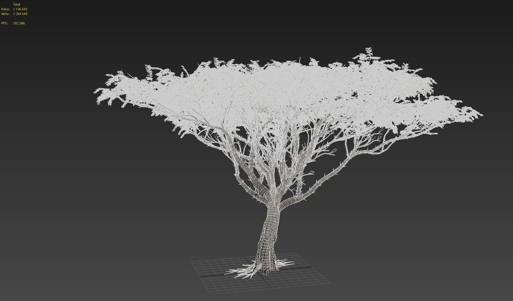 Acacia tree set 3D model_33