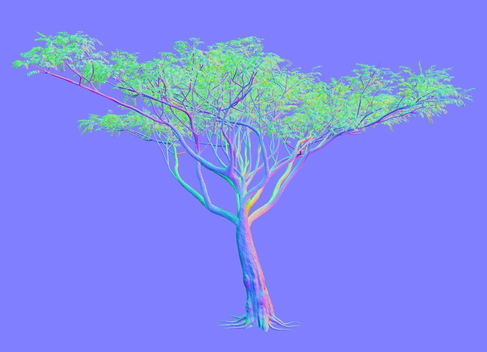 Acacia tree set 3D model_43