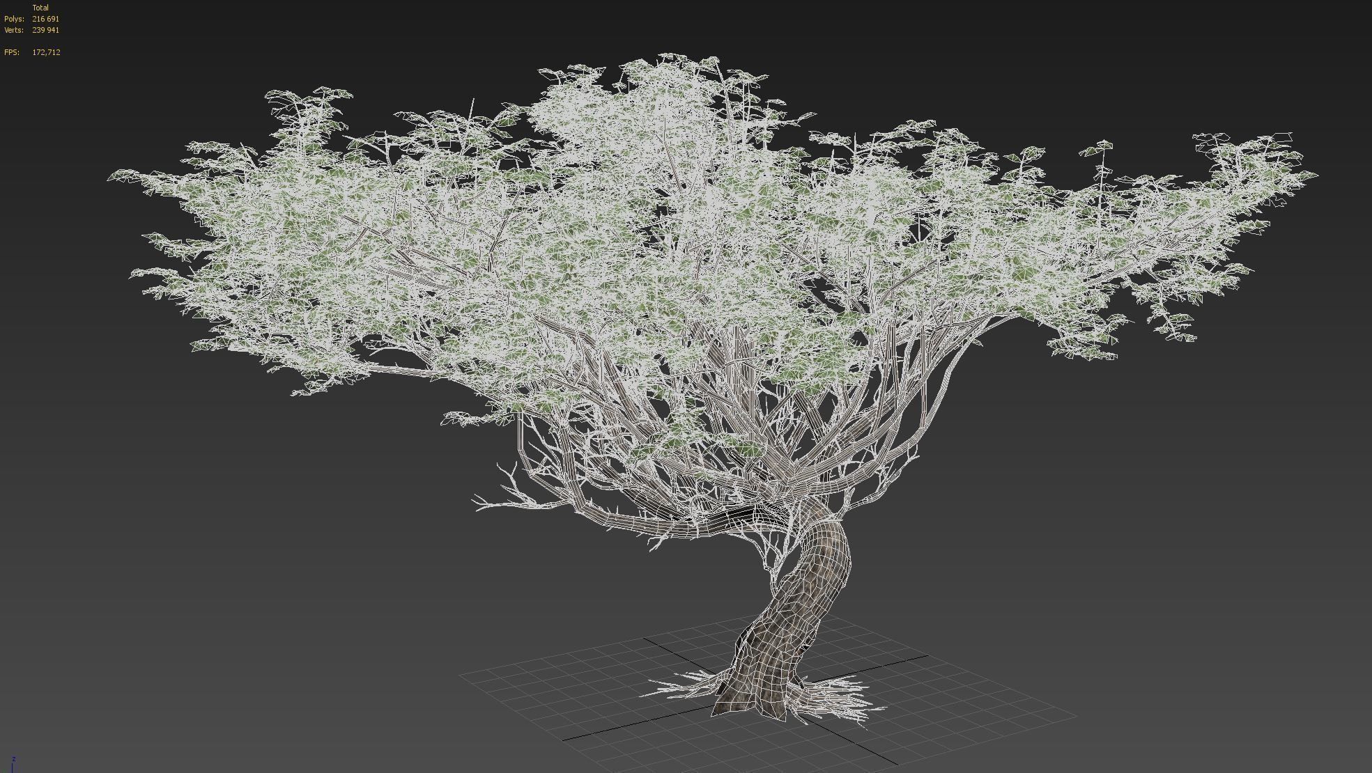 Acacia tree set 3D model_78