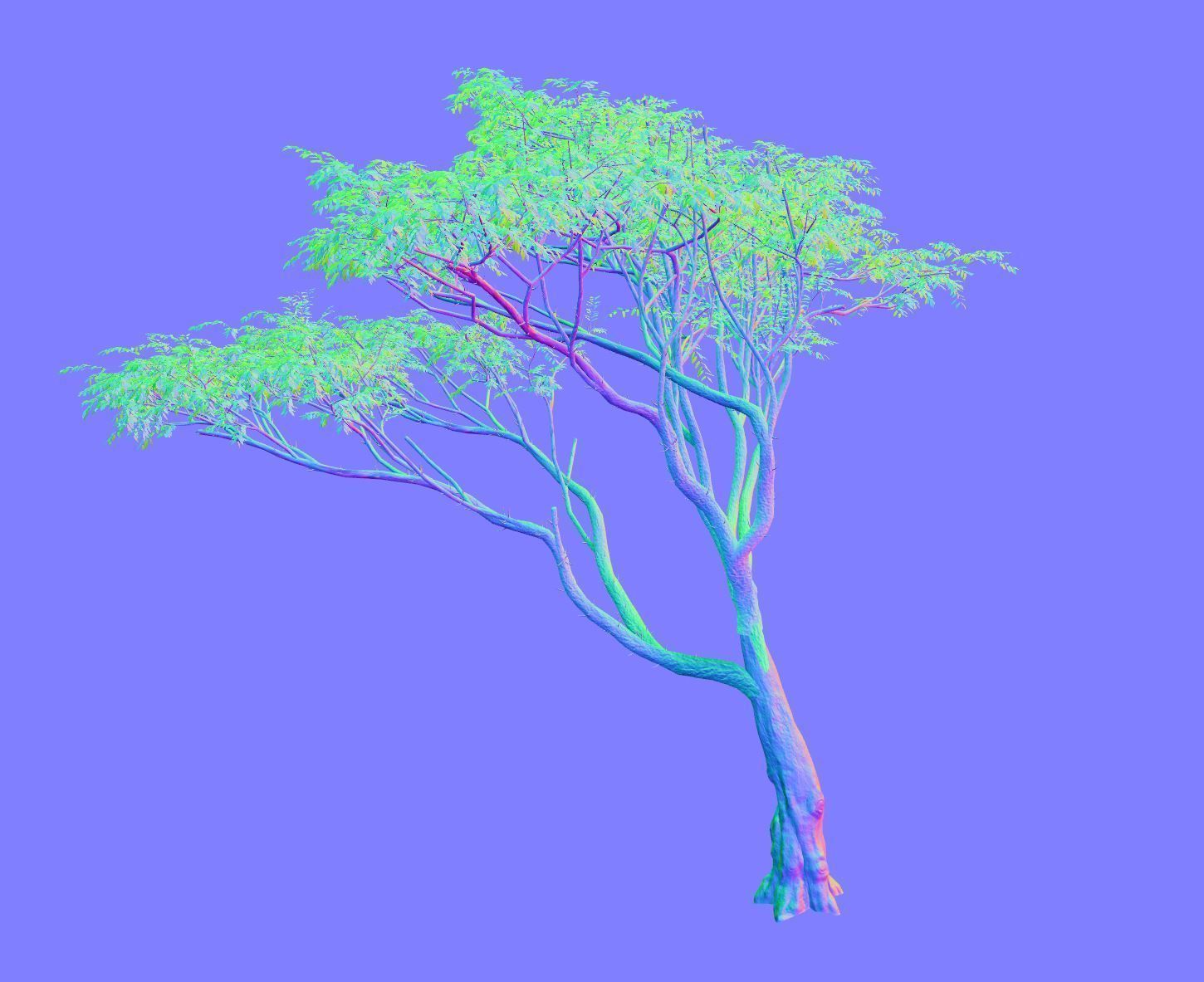 Acacia tree set 3D model_53