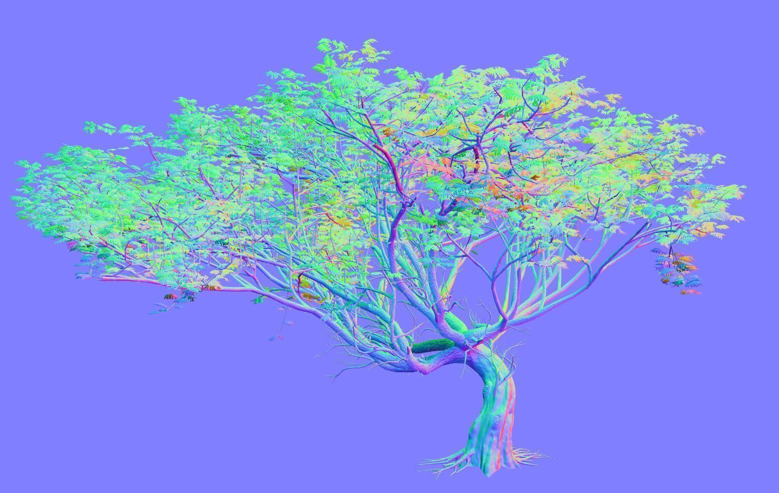 Acacia tree set 3D model_77