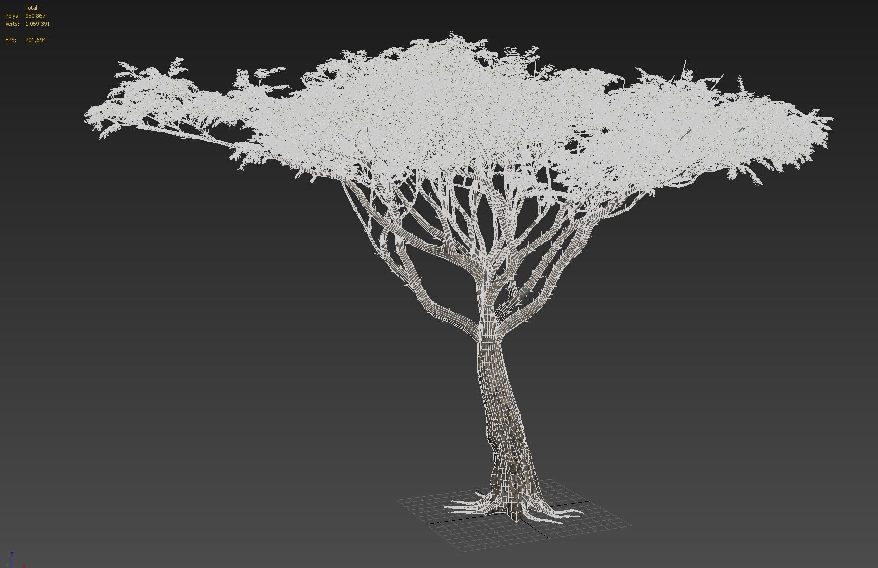 Acacia tree set 3D model_44