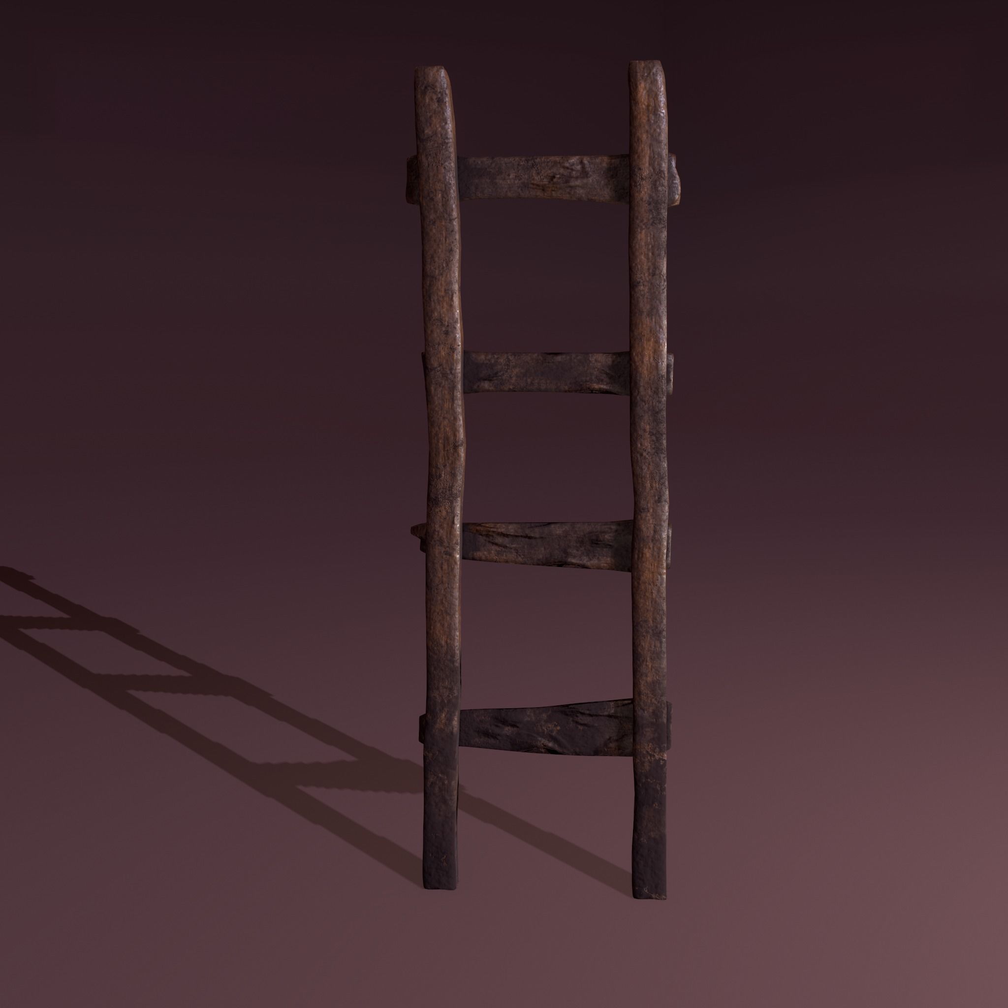 Old Dirty Ladder Low-poly 3D model_6
