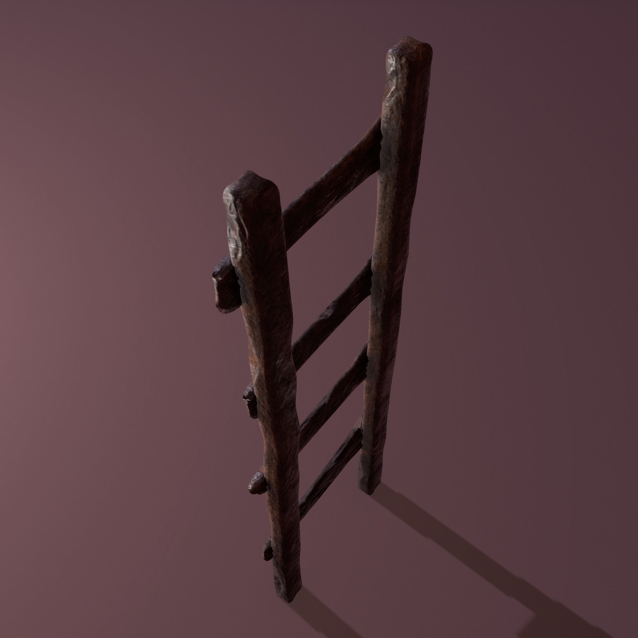 Old Dirty Ladder Low-poly 3D model_20