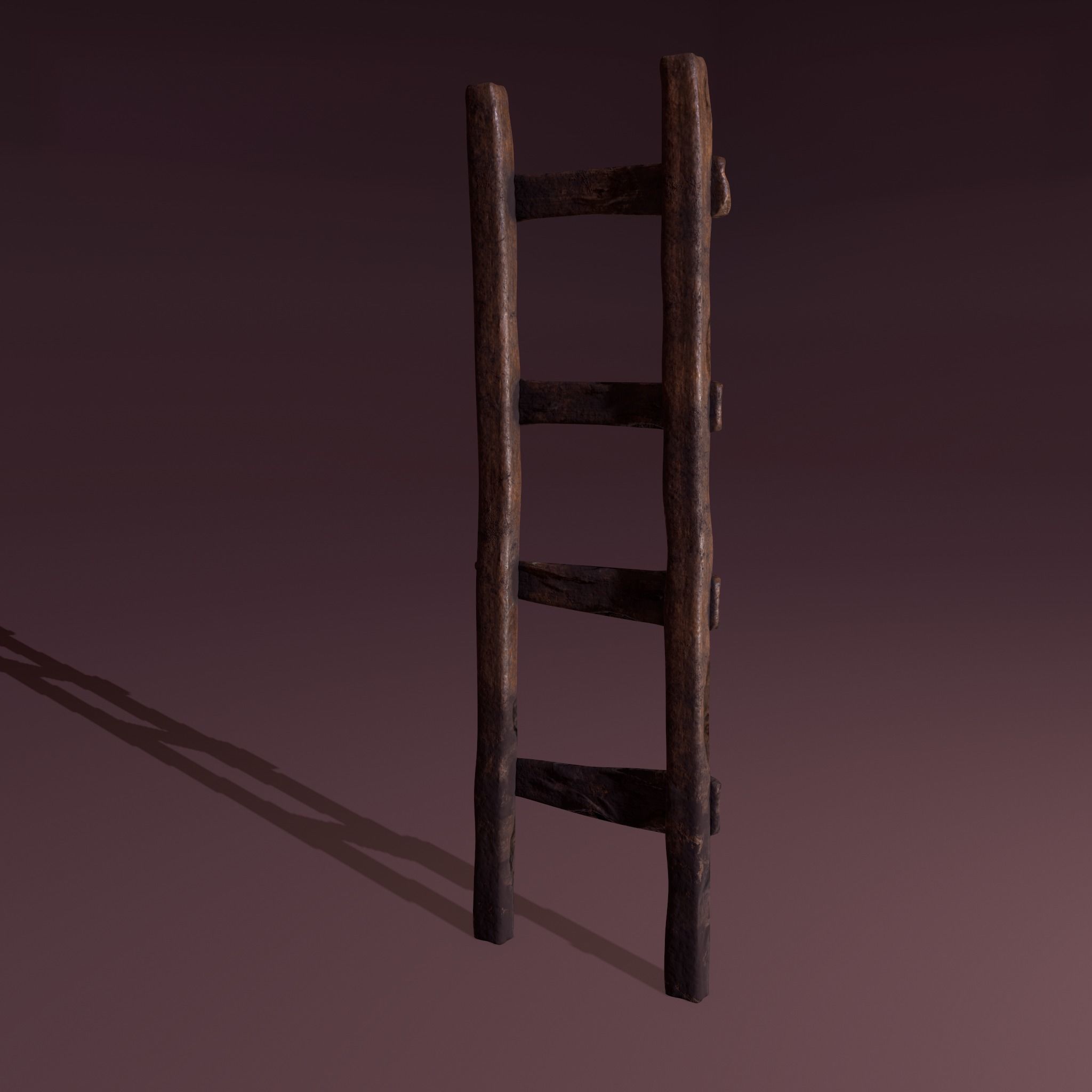 Old Dirty Ladder Low-poly 3D model_5