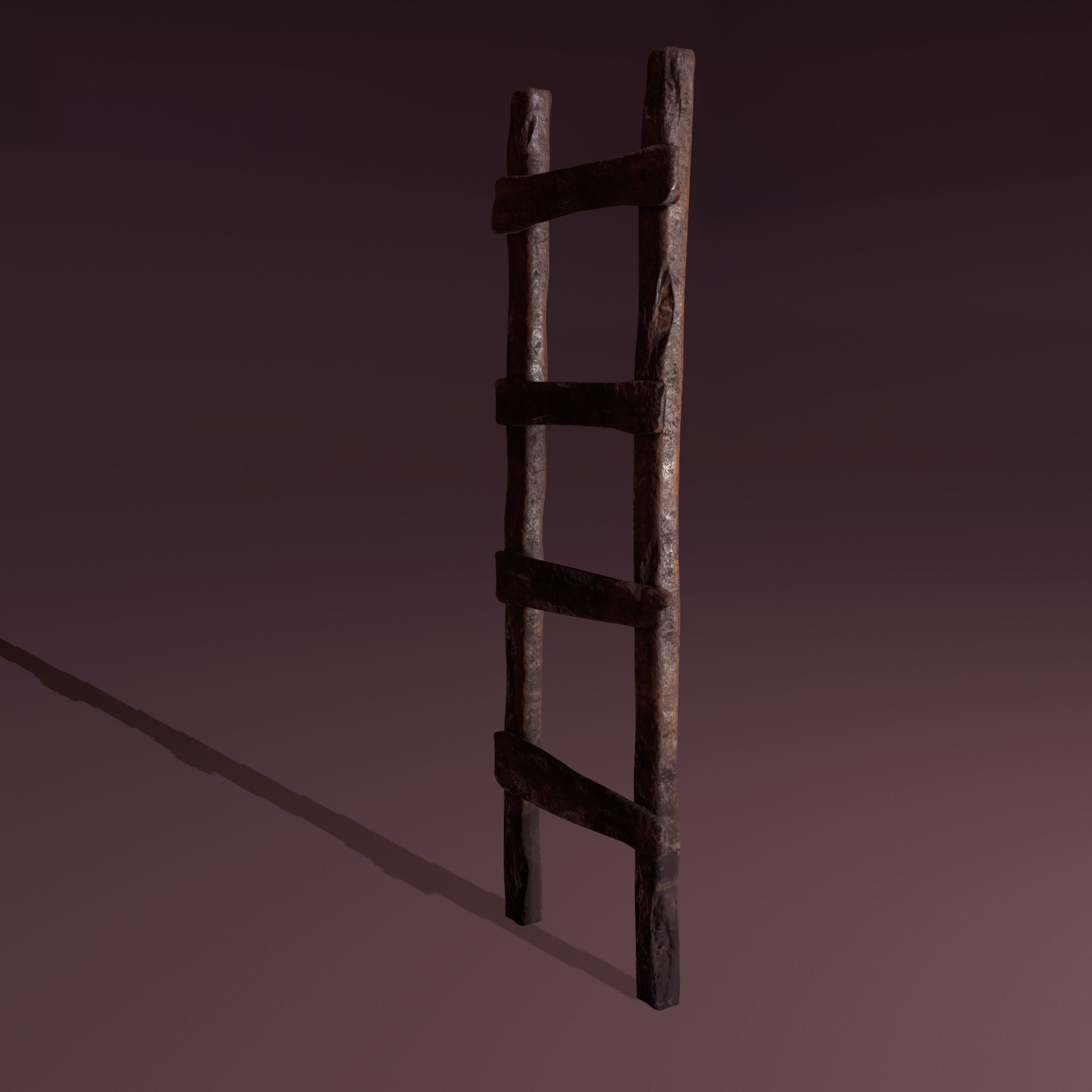 Old Dirty Ladder Low-poly 3D model_10