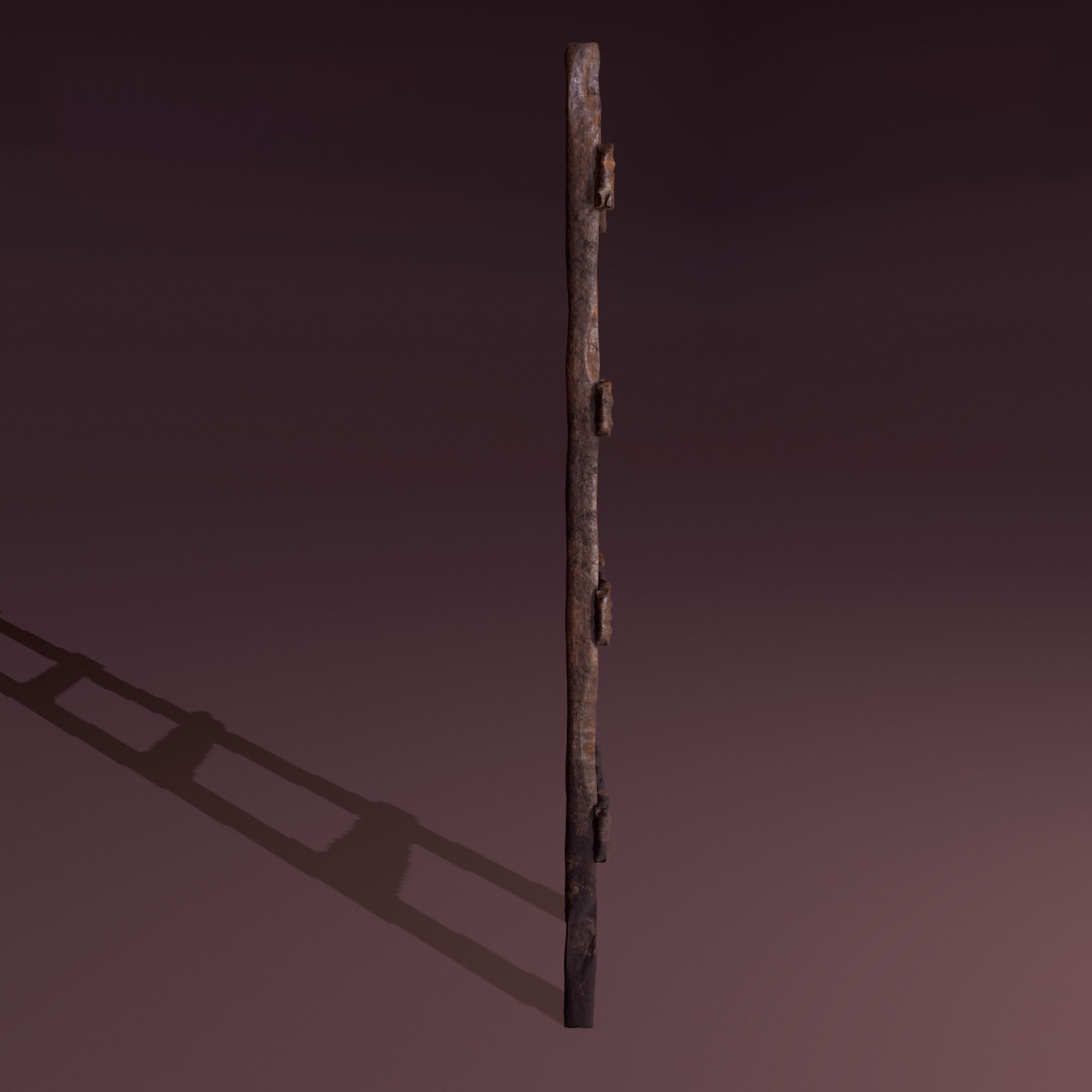 Old Dirty Ladder Low-poly 3D model_3