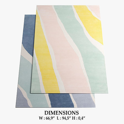 ALLMODERN Rugs 302 3D model