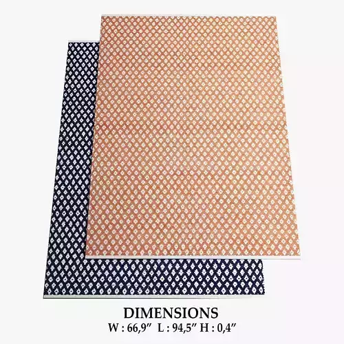 ALLMODERN Rugs 306 3D model