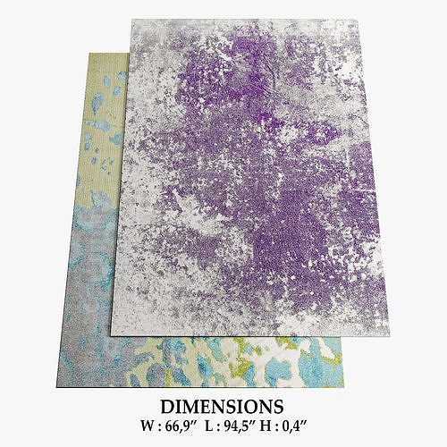 ALLMODERN Rugs 310 3D model