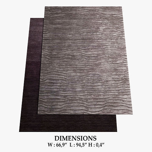 ALLMODERN Rugs 312 3D model