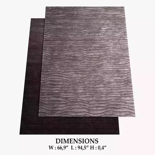 ALLMODERN Rugs 312 3D model