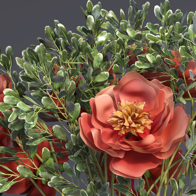 Realistic Collection of Peonies Bouquet in Vases 3D model_3
