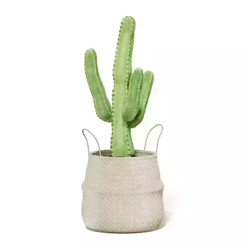 Cactus in Wicker Basket 3D Model