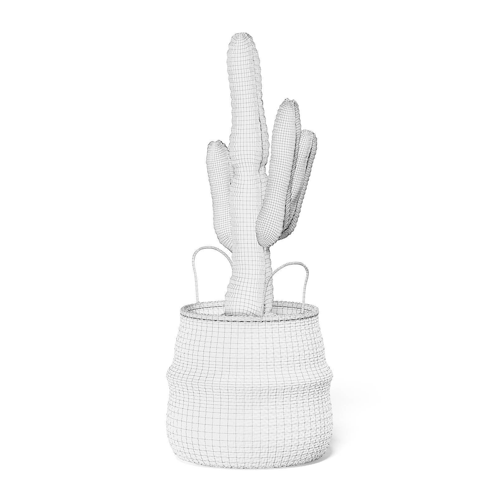 Cactus in Wicker Basket 3D Model 3D model_6