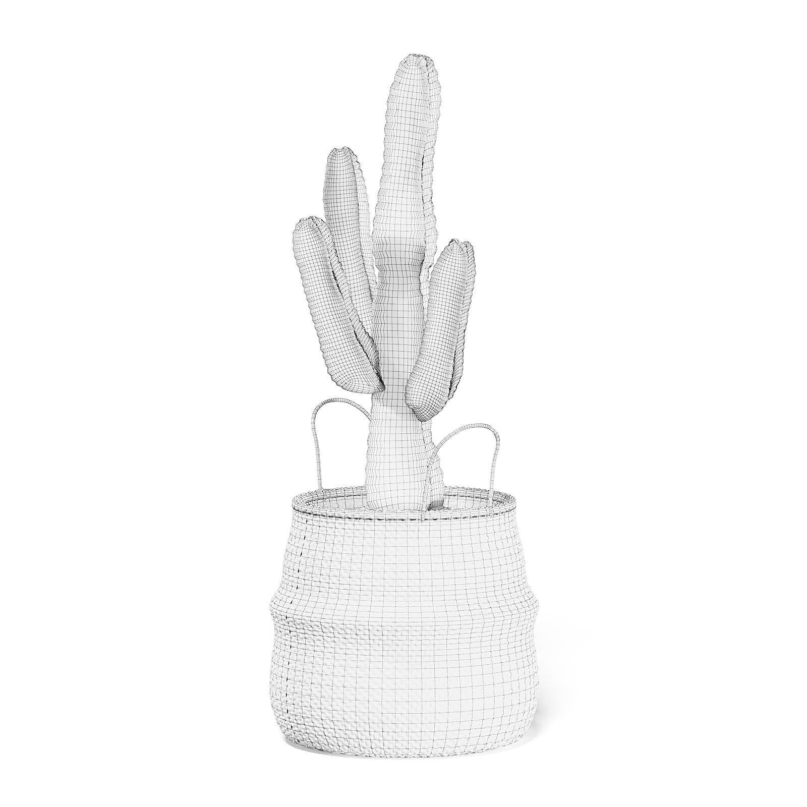Cactus in Wicker Basket 3D Model 3D model_2