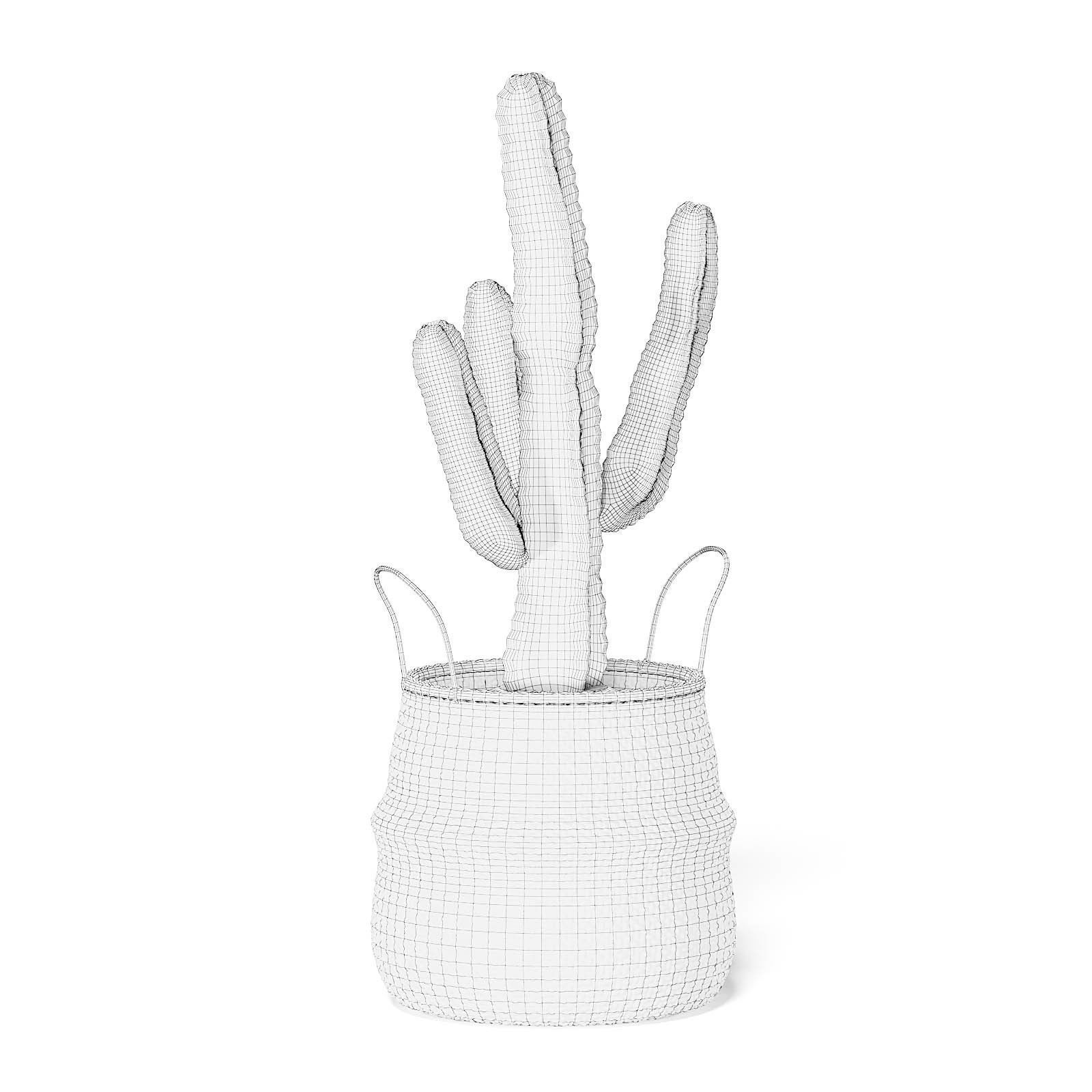Cactus in Wicker Basket 3D Model 3D model_4