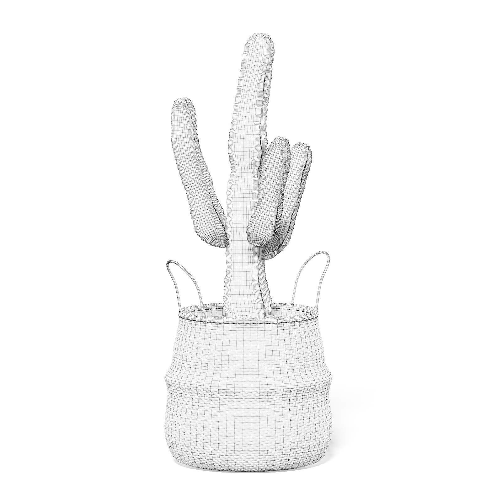 Cactus in Wicker Basket 3D Model 3D model_1
