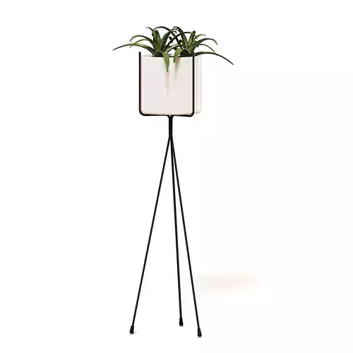 Plant on Tall Rack 3D Model