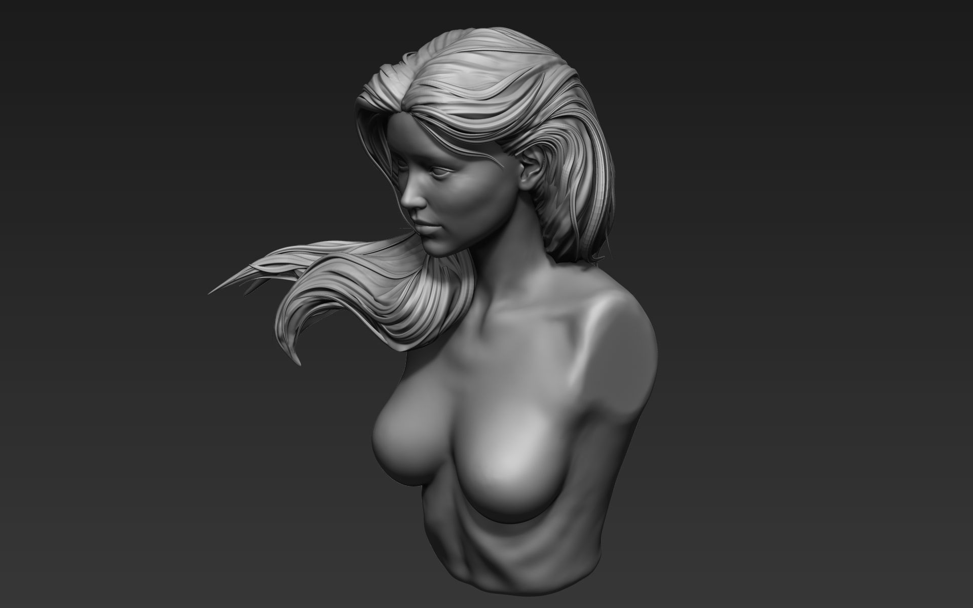 Zbrush Hair Sculpt 05 3D model_5