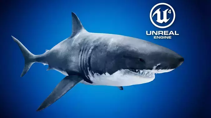 Great White Shark UE4 Low-poly 3D model