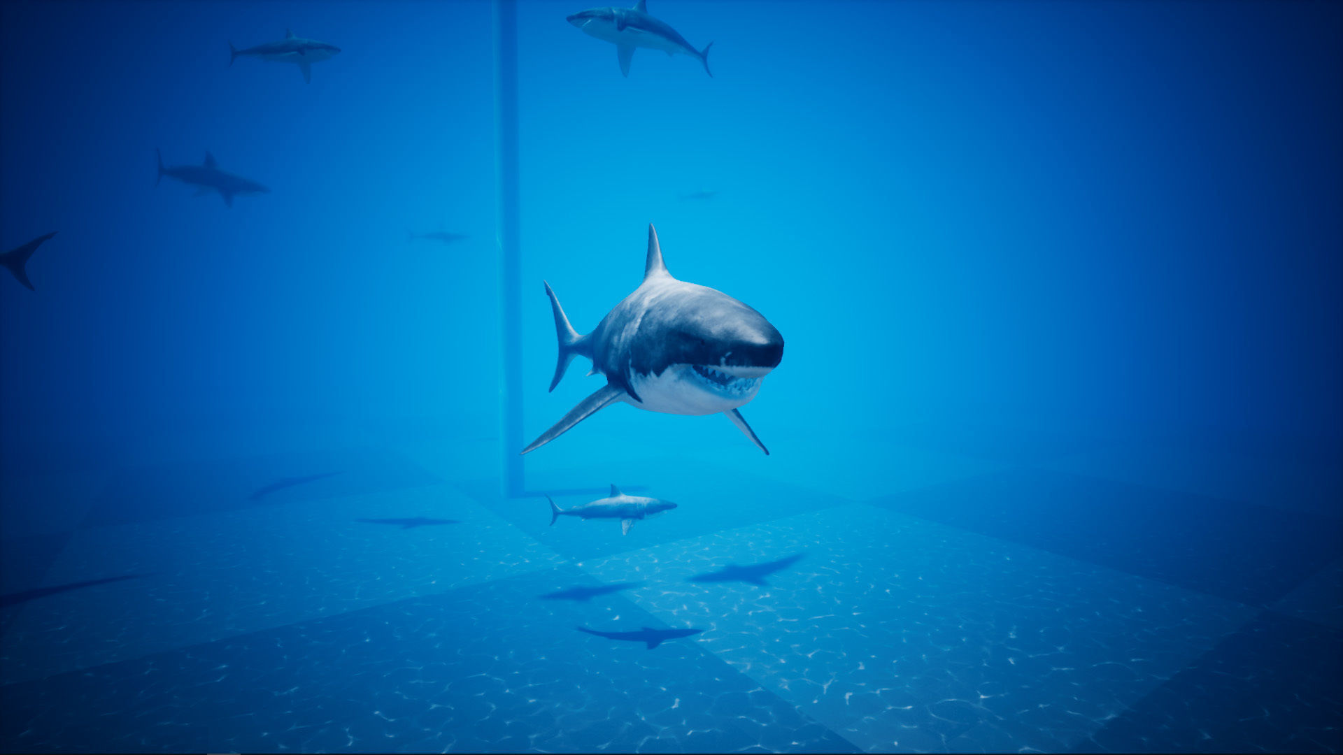 Great White Shark UE4 Low-poly 3D model_8