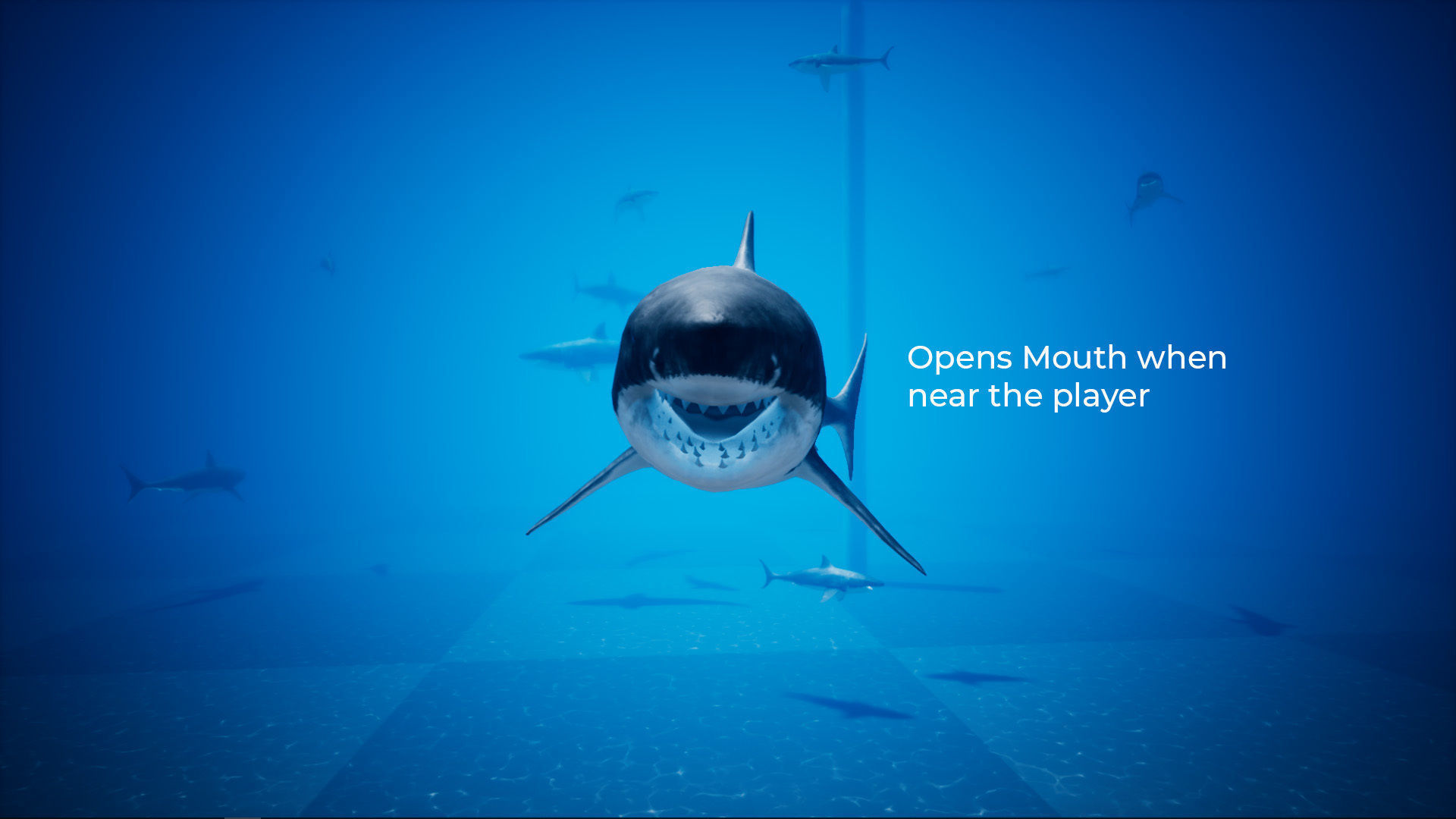 Great White Shark UE4 Low-poly 3D model_5
