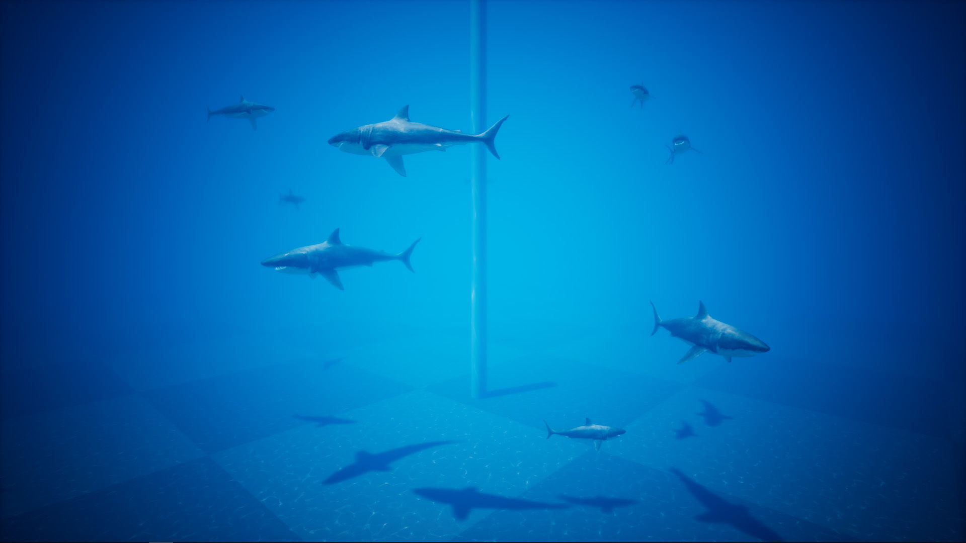 Great White Shark UE4 Low-poly 3D model_7