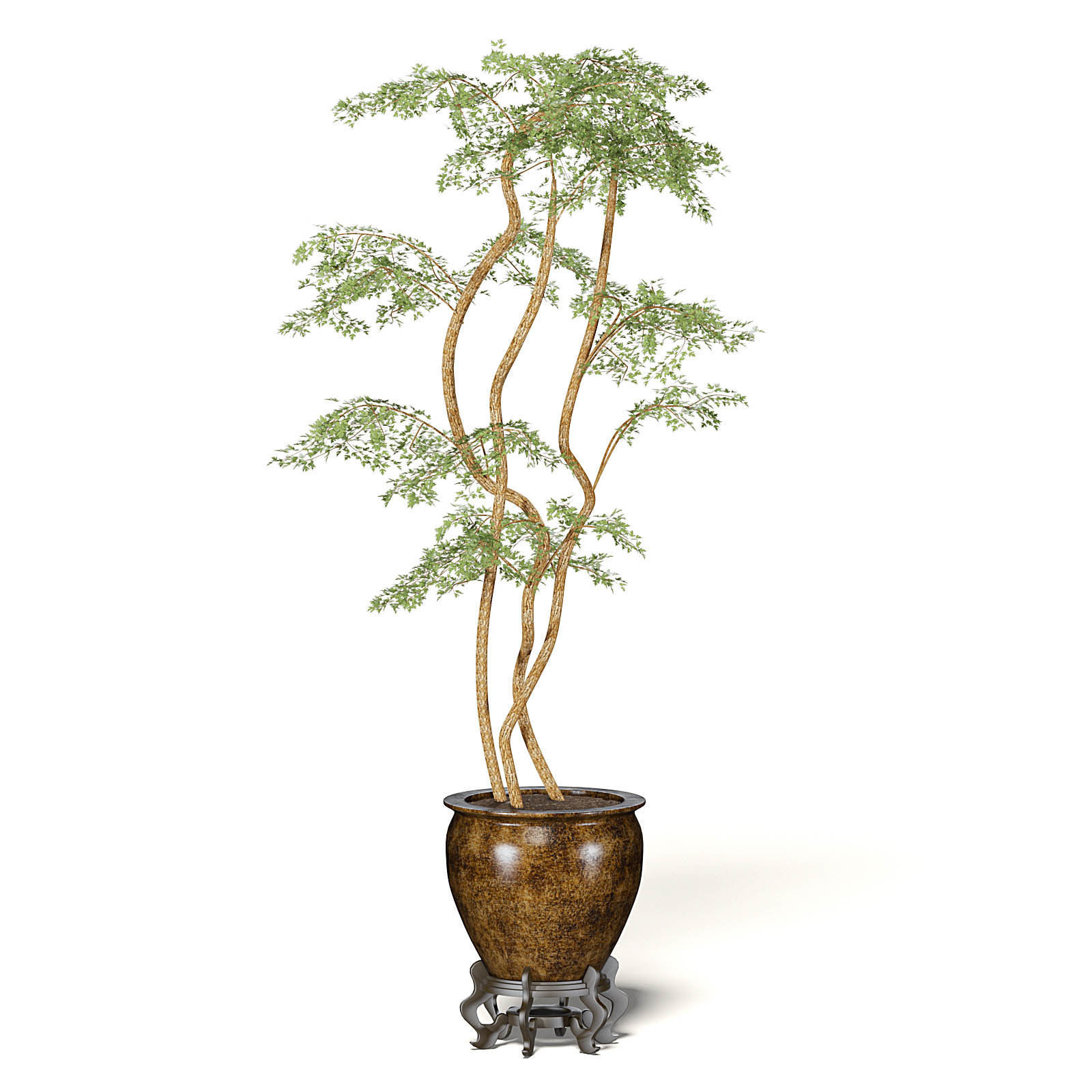 Tree in Metal Pot 3D Model 3D model_5