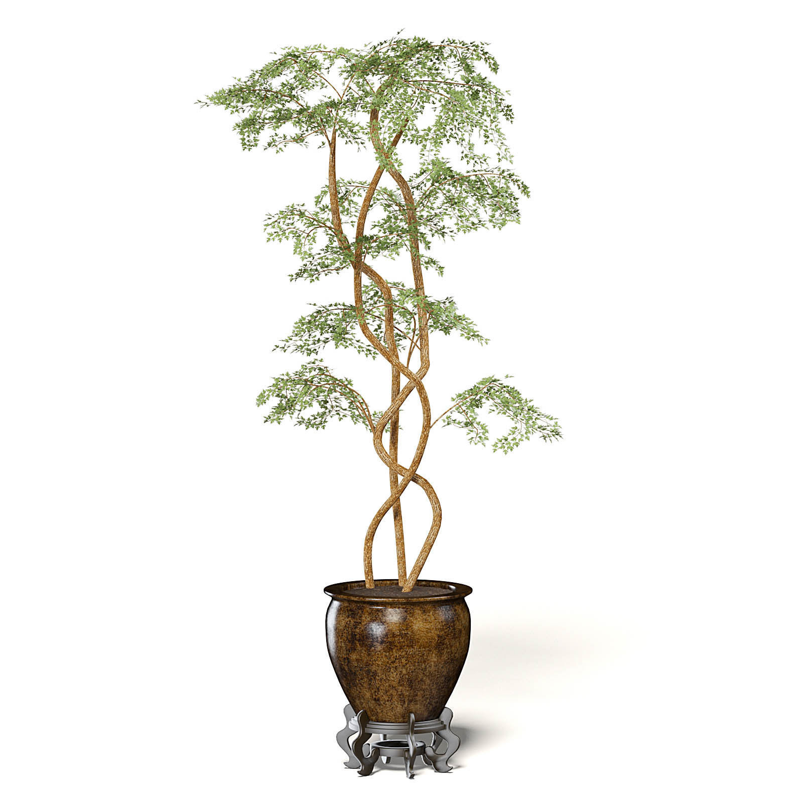 Tree in Metal Pot 3D Model 3D model_7