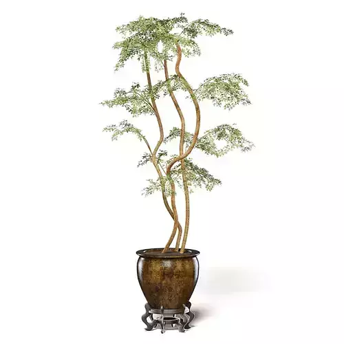 Tree in Metal Pot 3D Model