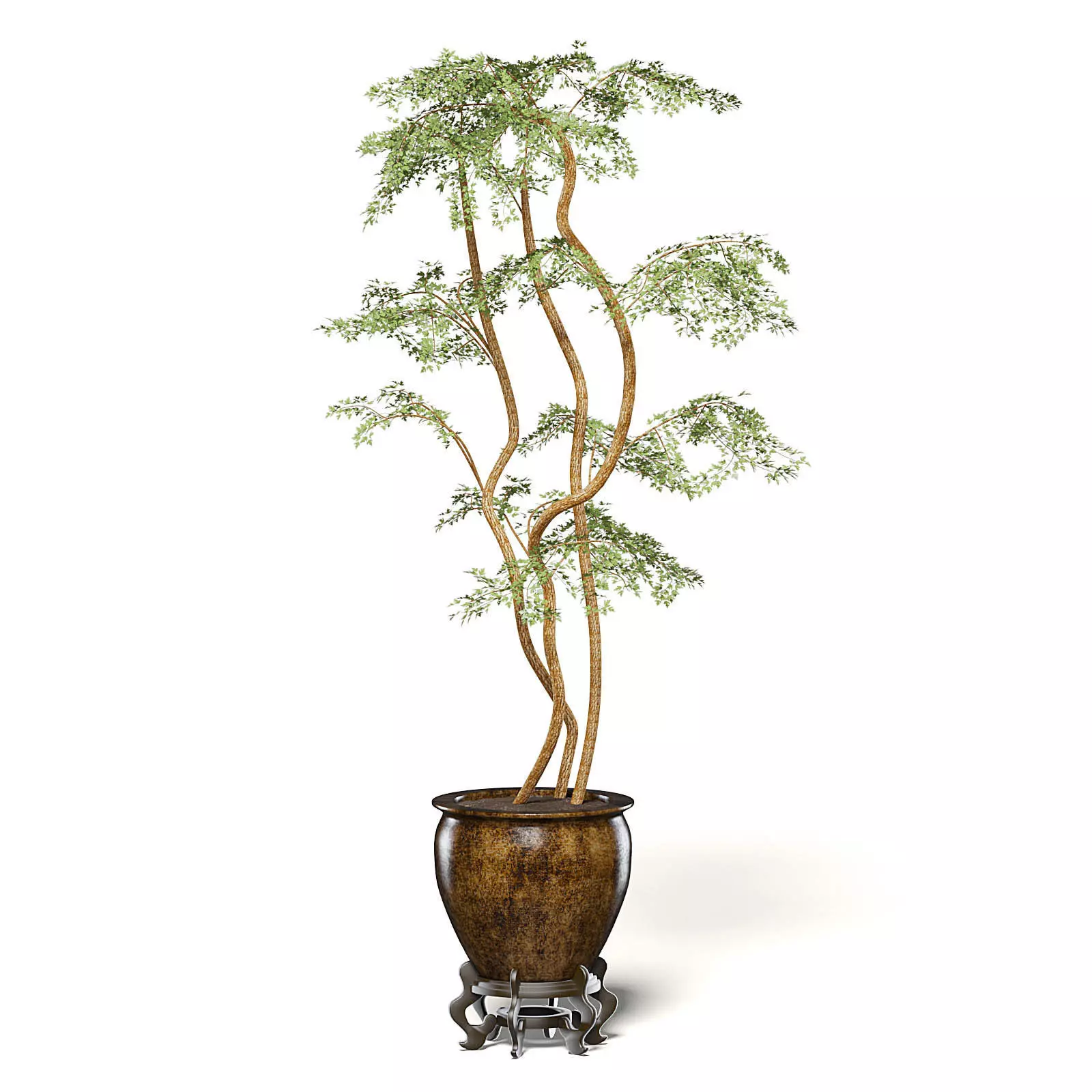 Tree in Metal Pot 3D Model 3D model_0